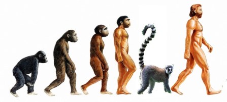 the new missing link