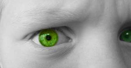 Anatomia dorinţei (Industria invidiei)