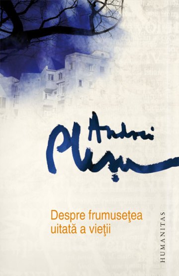 despre-frumusetea-uitata-a-vietii