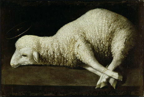 Francisco de Zurbaran - Agnus Dei